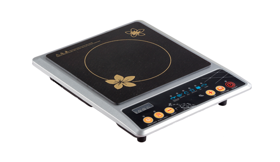 Induction Cooker